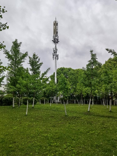 test site
